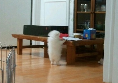 여자들이 반할 수 밖에 없다는 뒷모습 ㄷㄷㄷ.JPG | 인스티즈