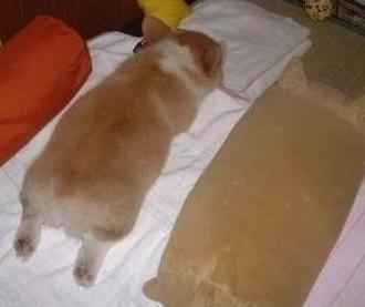 여자들이 반할 수 밖에 없다는 뒷모습 ㄷㄷㄷ.JPG | 인스티즈